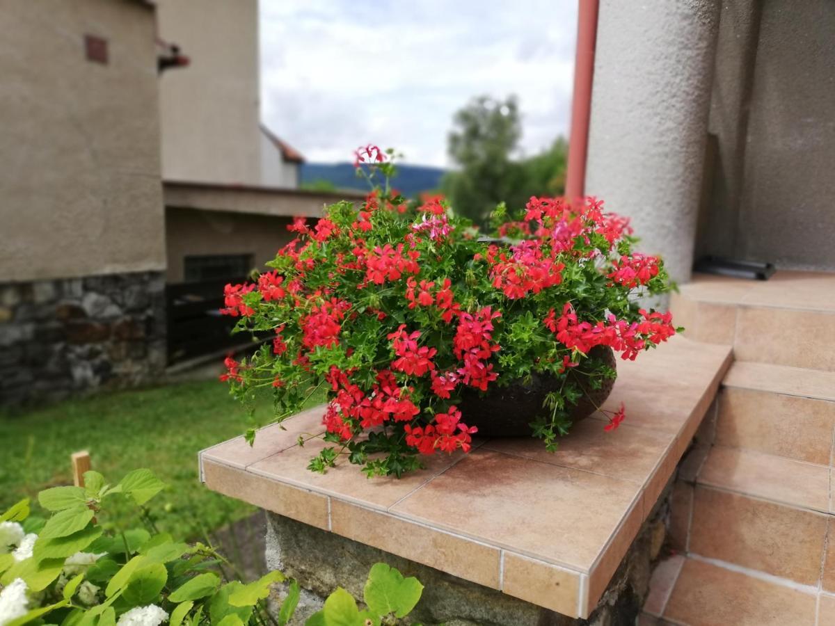 Villa Oliva Cesky Krumlov Luaran gambar